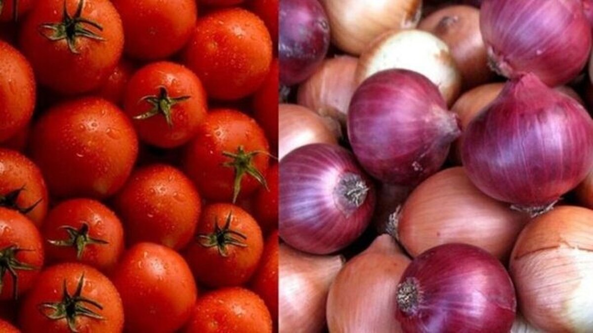 ممنوعیت واردات گوجهفرنگی و پیاز به عراق لغو شد