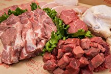 ممانعت از ورود مرغ مازندران به پایتخت؛ شلختگی در واردات و صادرات کالای اساسی