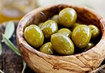 ورود حفظ نباتات به موضوع استفاده از سموم پرخطر در باغ‌های زیتون