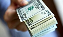 ناهماهنگی بین دستگاه‌ها گره ارزی کشور را کور کرده است