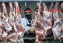 توزیع گوشت وارداتی به قیمت ۷۱۰ هزار تومان در فروشگاه‌های زنجیره‌ای