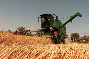 چین و بذر قدرت؛ استراتژی ادغام جهانی برای خودکفایی کشاورزی