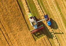 بدهی گندم‌کاران دیروز تسویه شد