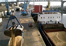 دولت ۳.۸ میلیارد دلار به واردکنندگان کالا‌های اساسی بدهکار است