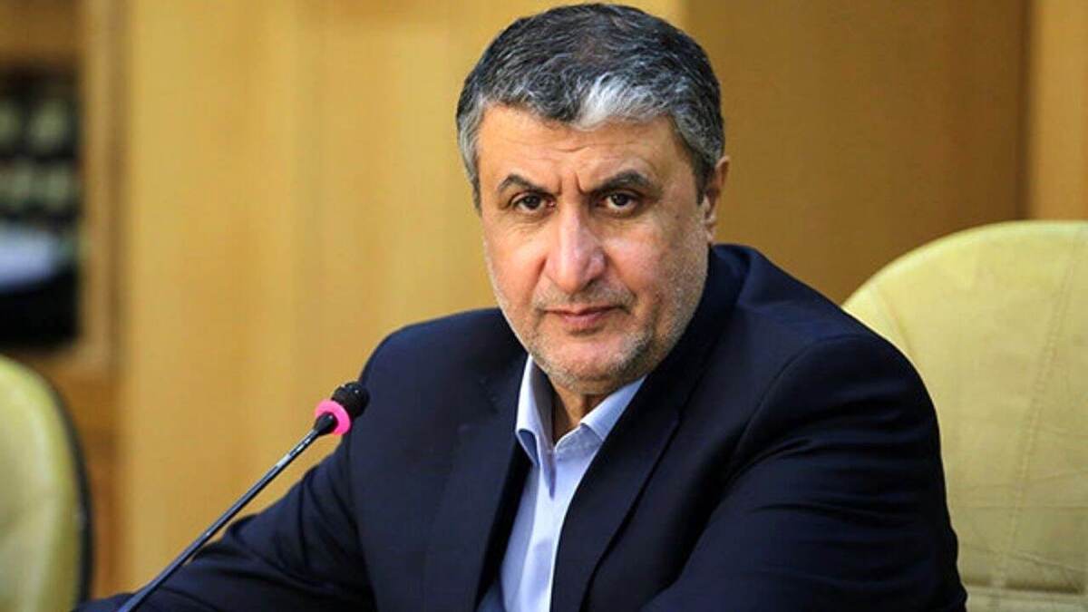 اسلامی: برنامه هستهای ایران کاملاً شفاف است و عقبگرد نخواهیم داشت