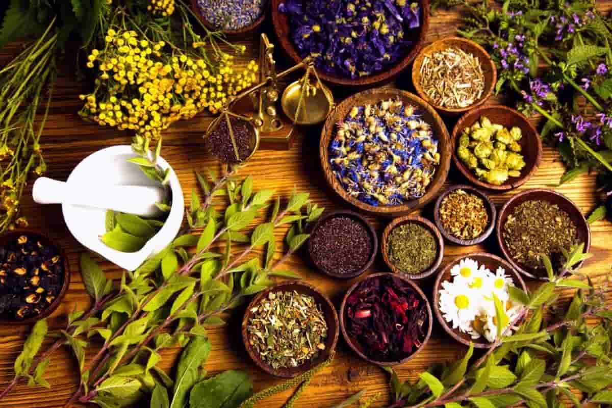روسیه بازار بکری برای گیاهان دارویی ایران است