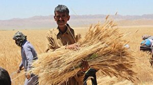 قانون خرید تضمینی گندم؛ ابزار حمایت عامل تهدید امنیت غذایی نشود