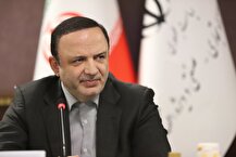 مشارکت سهامداران داخلی در بورس بین‌المللی مناطق آزاد سقف مشخصی داشته باشد