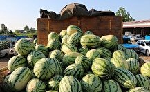 ممنوعیت‌ ناگهانی واردات ۴۵ محصول کشاورزی به عراق و اقلیم + فهرست