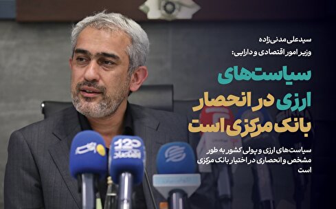 وزیر اقتصاد پاسخگوی سیاست‌های ارزی نیست