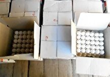 خرید حمایتی تخم‌مرغ به‌قیمت 79هزار تومان از مرغداران