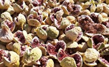 انجیر استهبان میراث کشاورزی ایران در فائو؛ ۳.۵ درصد انجیرستان‌های جهان در اختیار استهبان