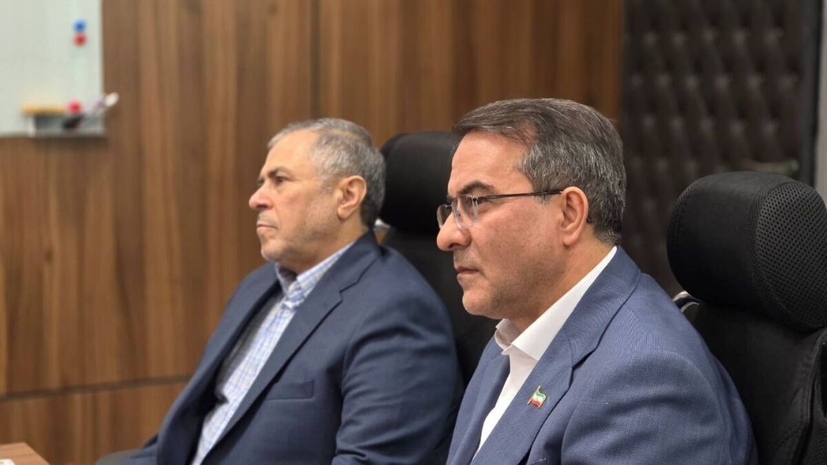 رفیع‌زاده: حمایت همه‌جانبه دستگاه‌های دولتی برای تداوم فواد ضروری است