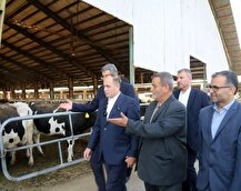 در وزارت جهاد نوری قزلجه مدیر نیست، واردکننده مدیریت می‌کند