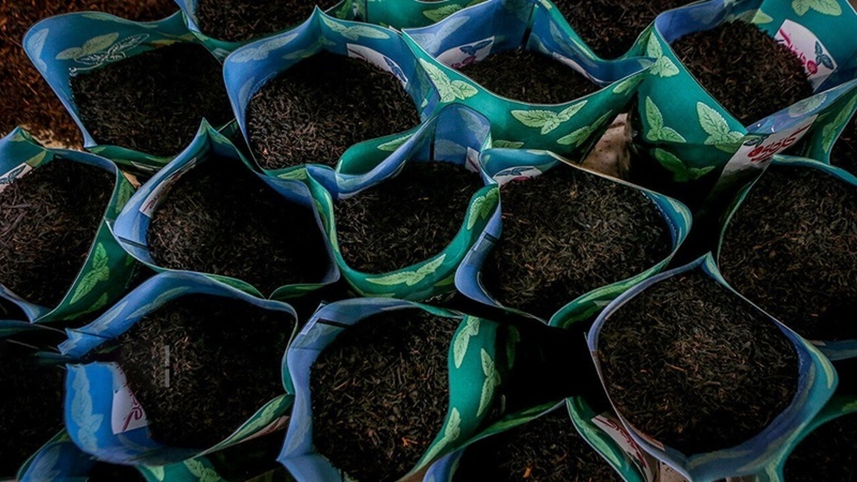 واردات چای مشمول ترخیص ۱۰۰ درصدی از گمرکات شد