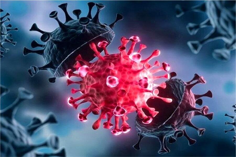 همه چیز درباره کرونای تیغی +علائم کرونای جدید کرونای جدید