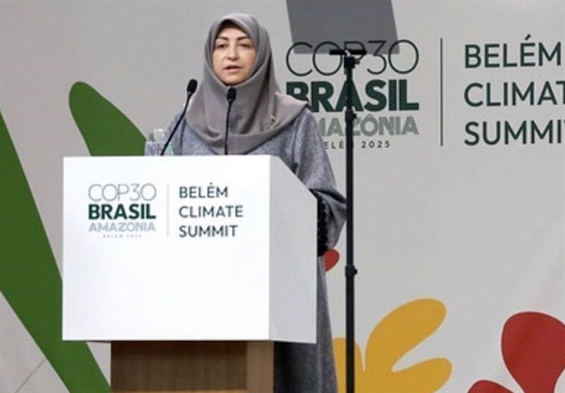 هزینه سفر شینا انصاری هزینه سفر شینا انصاری