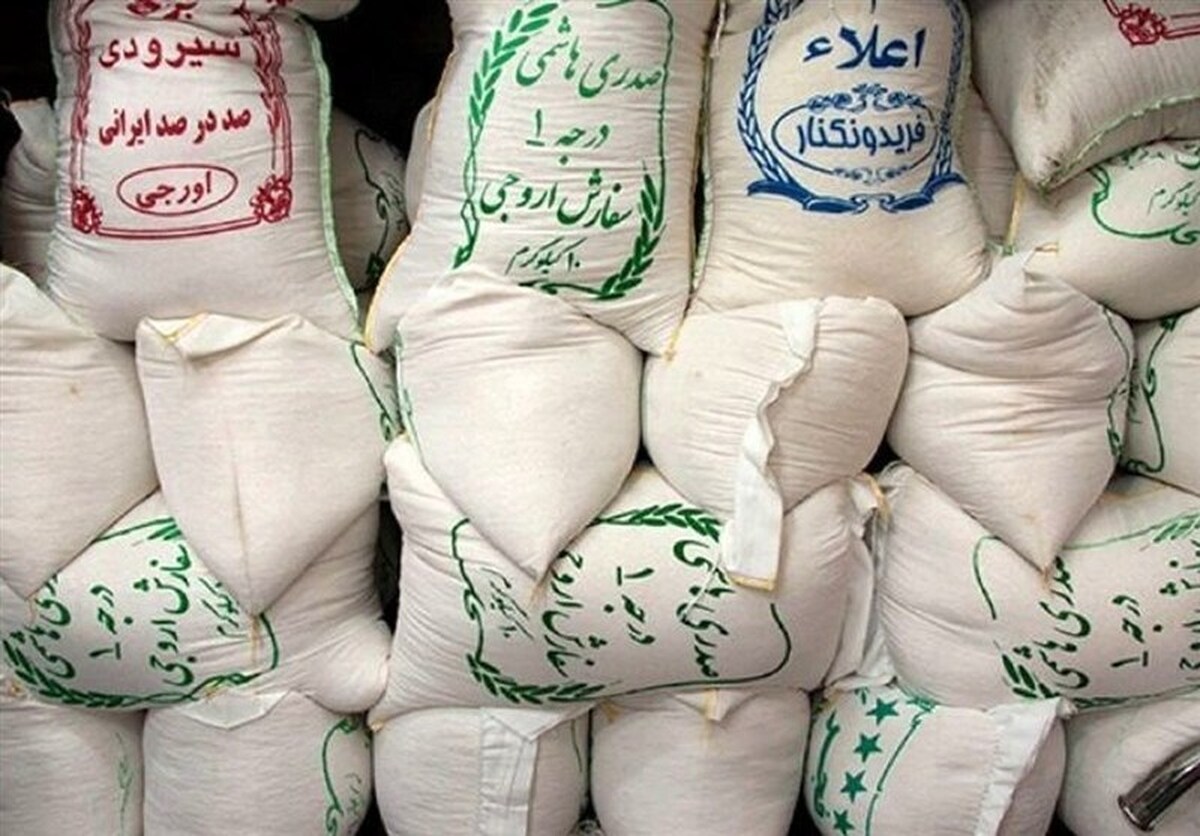 بخشی از برنج شمال وارد بازار نشد/ قیمت تمام شده برنج طارم ایرانی 145 هزار تومان است