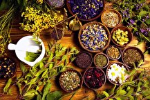 روسیه بازار بکری برای گیاهان دارویی ایران است