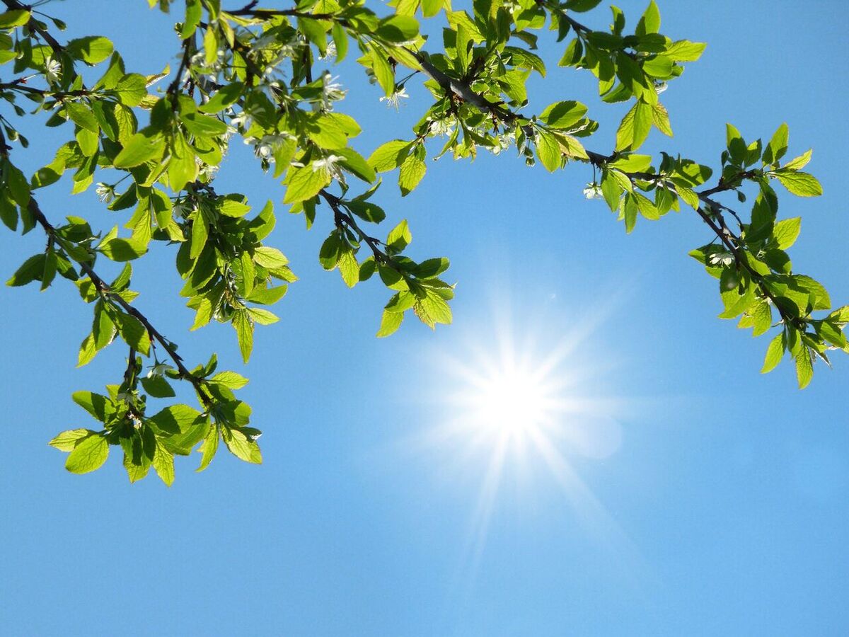 گزارش هواشناسی امروز ۲۱ آبان ۱۴۰۴