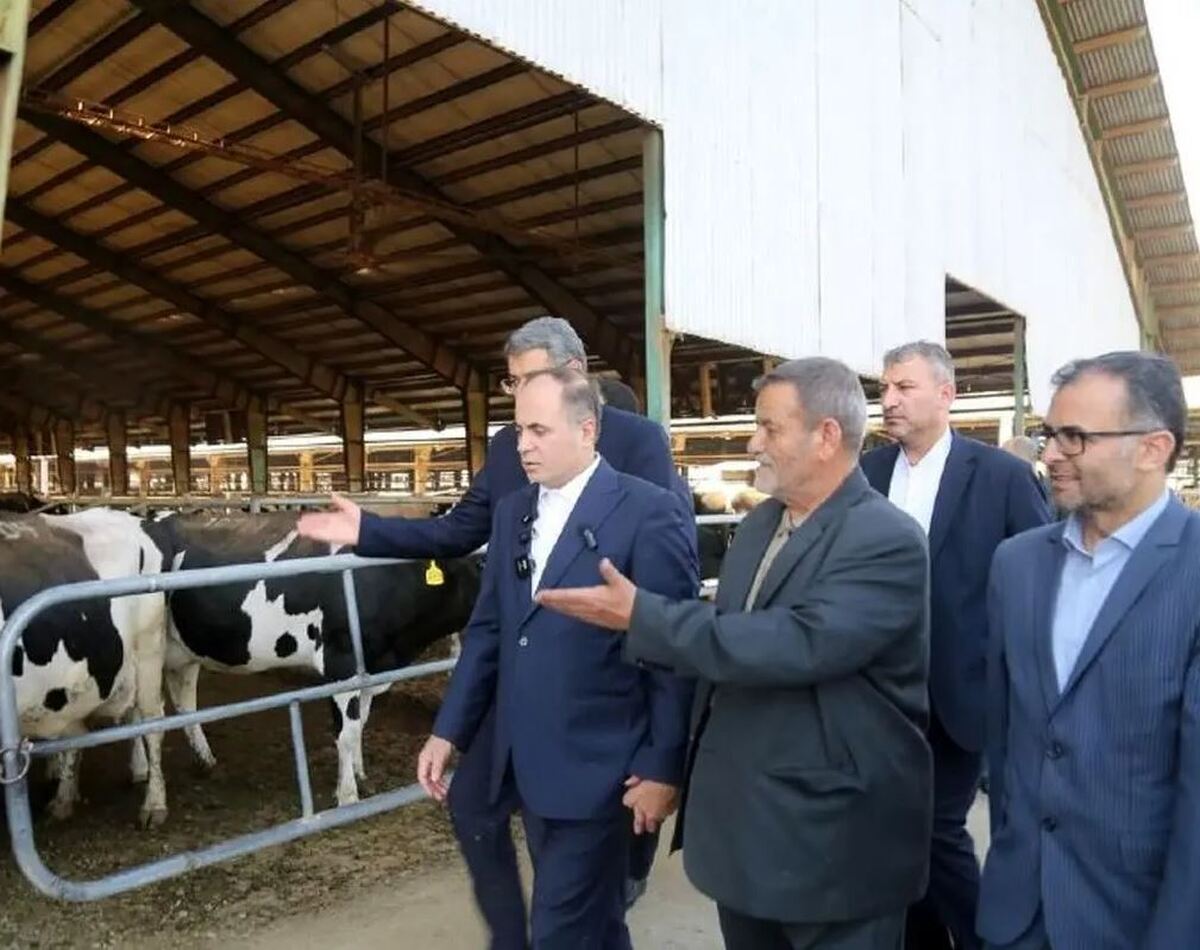 ترک فعل وزارت جهاد در تامین نهاده نباید تکرار شود؛ تخصیص ارز به‌موقع باشد