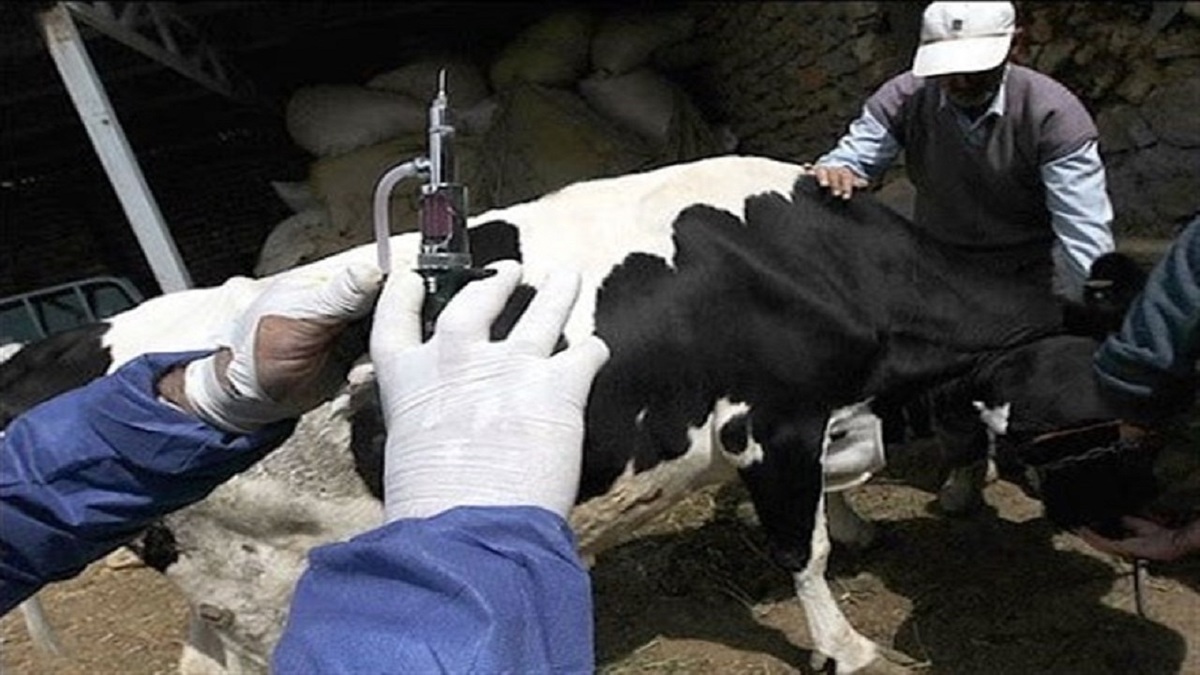 ورود دیوان محاسبات به پرونده تاخیر در تامین و توزیع واکسن تب برفکی