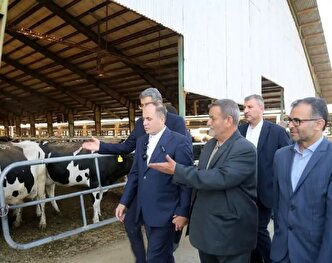 ترک فعل وزارت جهاد در تامین نهاده نباید تکرار شود؛ تخصیص ارز به‌موقع باشد