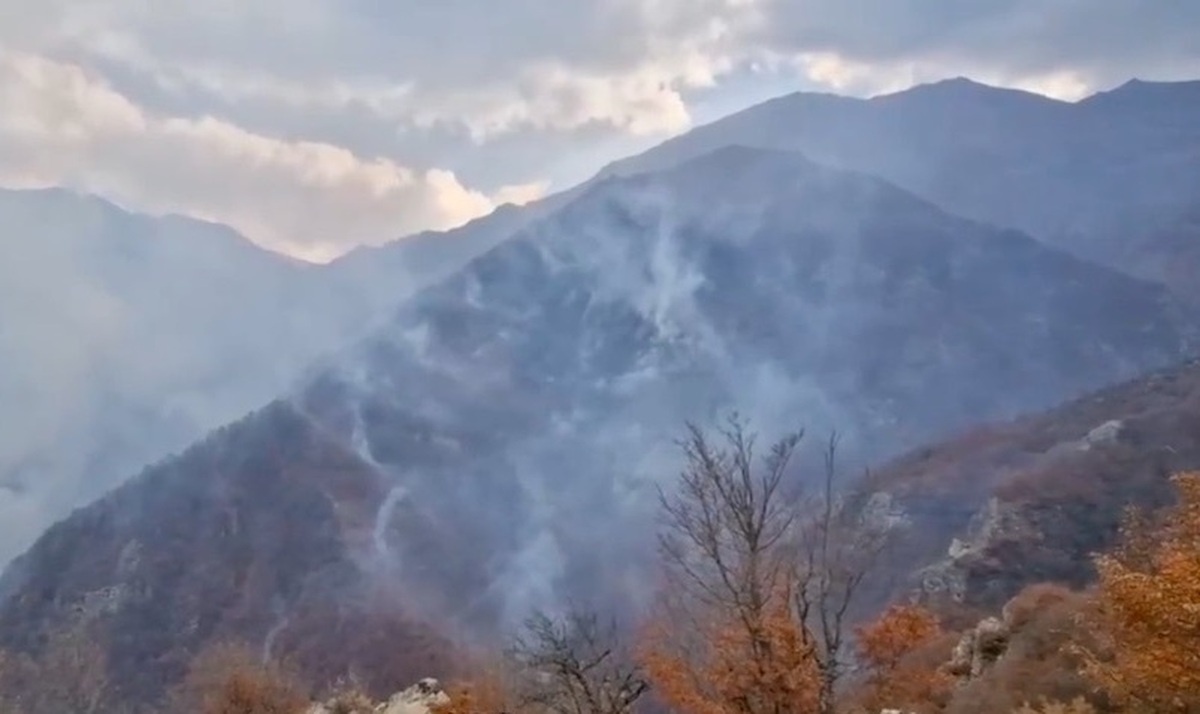 باران و برف به داد جنگل چالوس رسید/آتش فروکش کرد