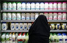 افزایش ۶۰ درصدی قیمت شیر خام طی ۵ ماه / کوتاهی وزارت کشاورزی در نظارت