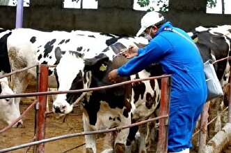 آیا تب برفکی در کشور کنترل شد؟