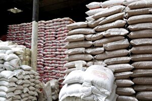 چرا برنج در ایران گران شد؟ 