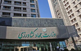 مدیریت غلط در جهاد کشاورزی؛ از نرسیدن نهاده‌های دامی تا نخود نجومی‎