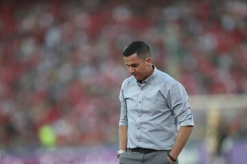 هواداران پرسپولیس هواداران پرسپولیس