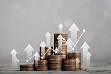 نظارت بر اثربخشی ارز ترجیحی وظیفه وزارتخانه‌های جهاد و بهداشت است