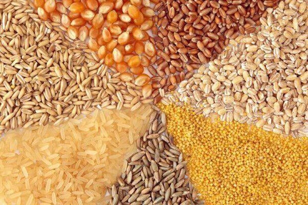 ترخیص بخشی از نهادههای دامی از ۷ مهر ماه