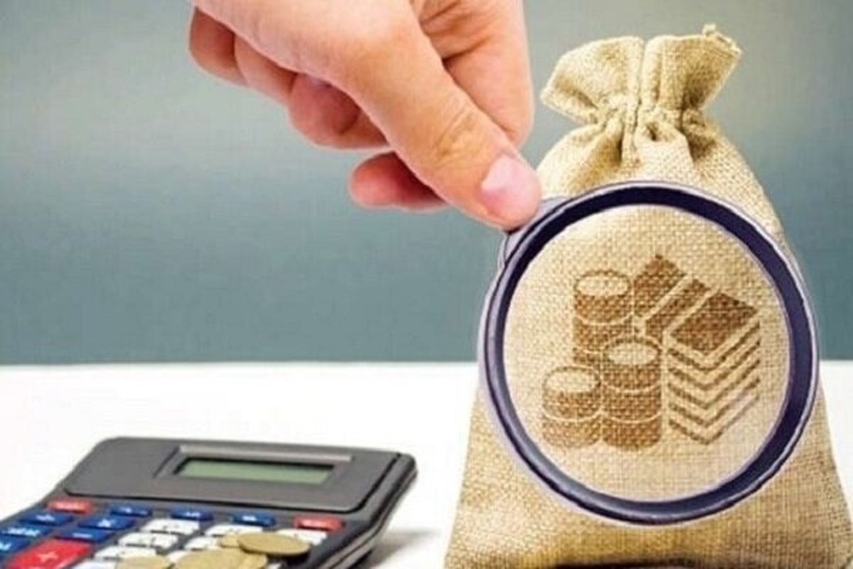 سبحانیان: درآمدهای مالیاتی در تمامی شاخصها افزایش داشته است