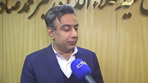 رسوب کالا در گمرکات ماحصل تاخیر در تخصیص ارز است