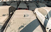 رسوب کالا در گمرکات ماحصل تاخیر در تخصیص ارز است