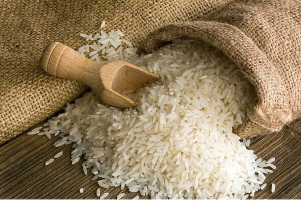 افزایش قیمت برنج در آبان ۱۴۰۴