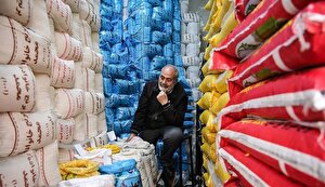 برنج در تله تصمیمات متناقض؛ سیاست ارزی بازار را به بحران کشاند