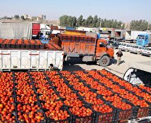 گرانی میوه زیر سر «تعاون روستایی»؛ شهرداری‌‌ها در حذف واسطه همکاری کنند