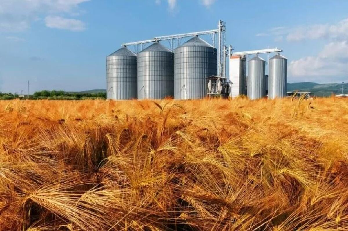 وزارت جهاد به‌تنهایی توان حفظ امنیت غذایی ندارد؛ ۴ دستگاه دیگر هم مسئولند