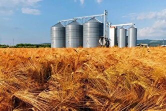 وزارت جهاد به‌تنهایی توان حفظ امنیت غذایی ندارد؛ ۴ دستگاه دیگر هم مسئولند