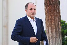 مابه التفاوت افزایش قیمت برنج وارداتی به دهک های مختلف پرداخت می‌شود