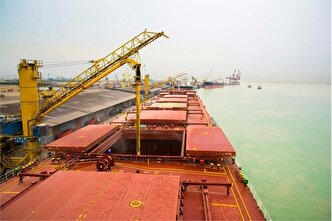 واردکنندگان دانه‌های روغنی کشاورز می‌شوند؟