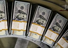 جهش ارزی نتیجه ناهماهنگی دستگاه‌‌ها؛ دولت از ظرفیت سران قوا بهره نمیگیرد