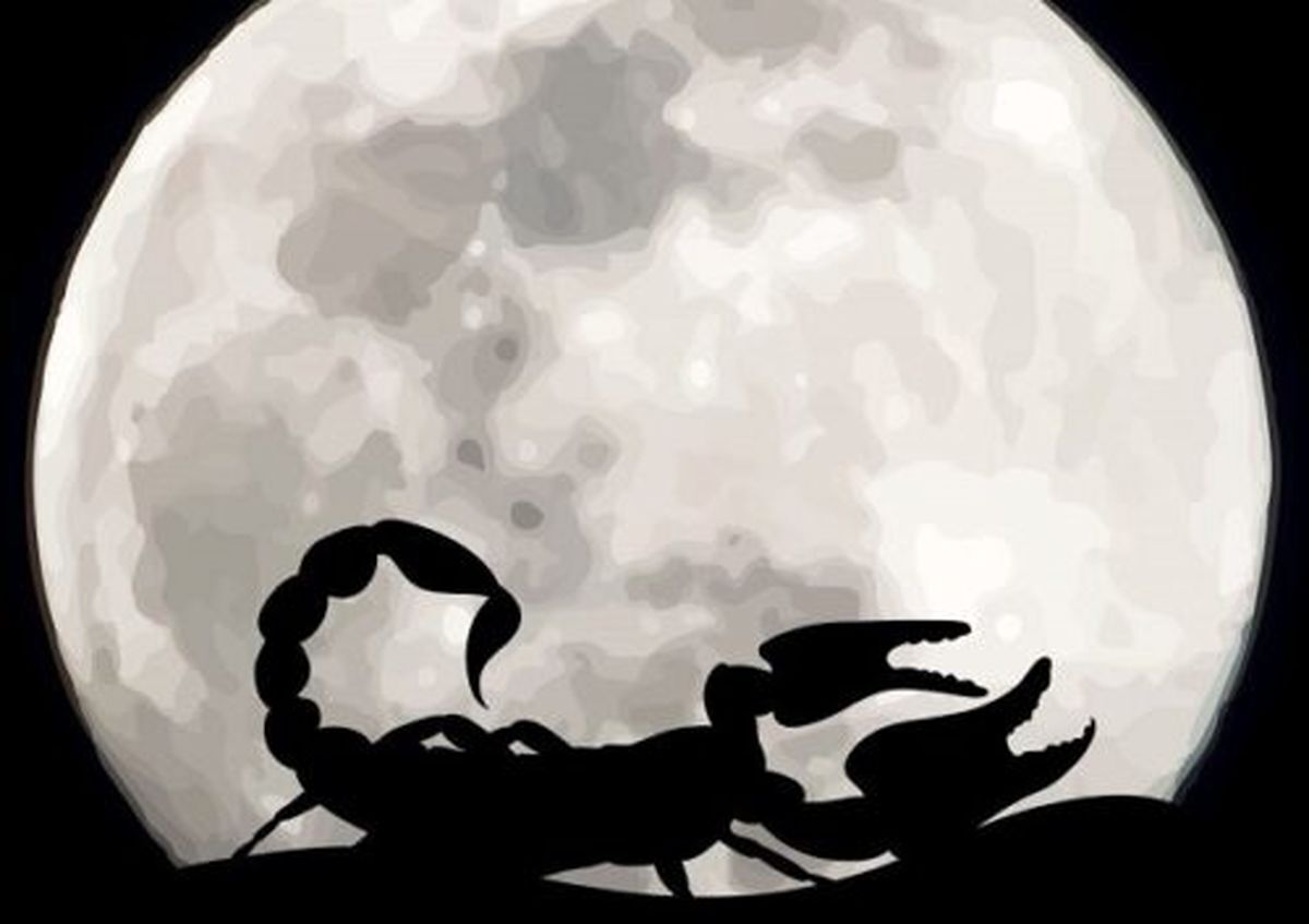 روزهای قمر در عقرب دی ۱۴۰۴ روزهای قمر در عقرب دی ۱۴۰۴