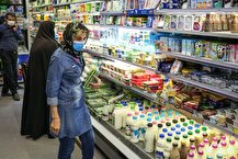 جدال هزینه تولید و قیمت نهایی در بازار لبنیات