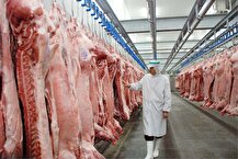 کاهش ۷ درصدی عرضه گوشت قرمز در آبان