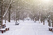 هواشناسی ایران ۱۴۰۴/۹/۲۸؛ تداوم بارش در برخی مناطق/ هشدار یخ‌زدگی در ۱۹ استان